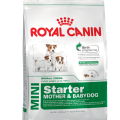 Royal Canin MINI Starter MOTHER & BABYDOG